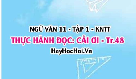 Soạn bài Thực hành đọc: Cải ơi trang 48 Ngữ văn lớp 11 Kết nối tri thức tập 1